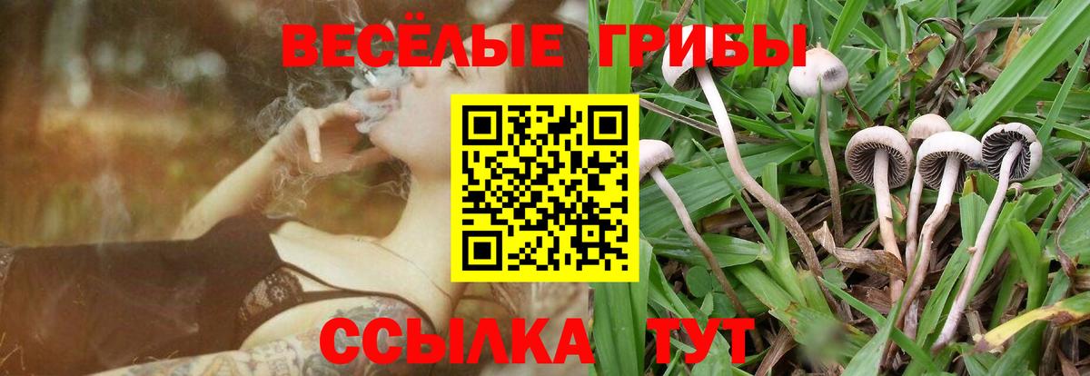 Ангарск  Галлюциногенные грибы ЛСД  Вход с VPN 